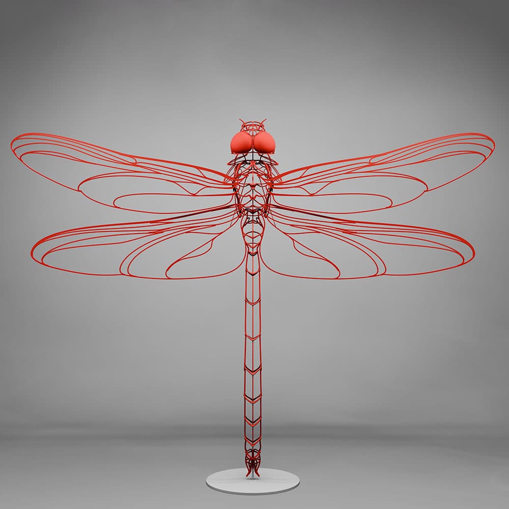 In Motion - Dragonfly