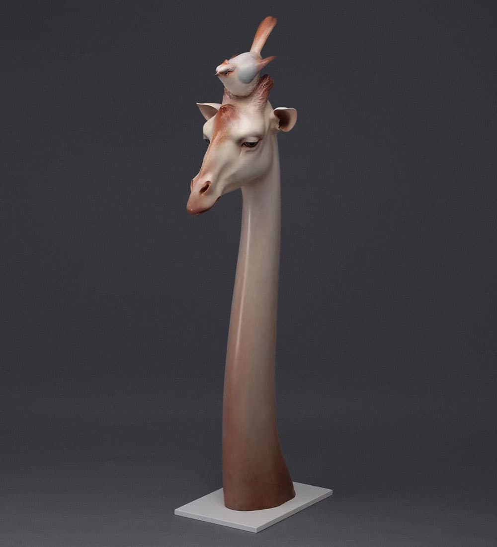 Floating Cloud - Deer
